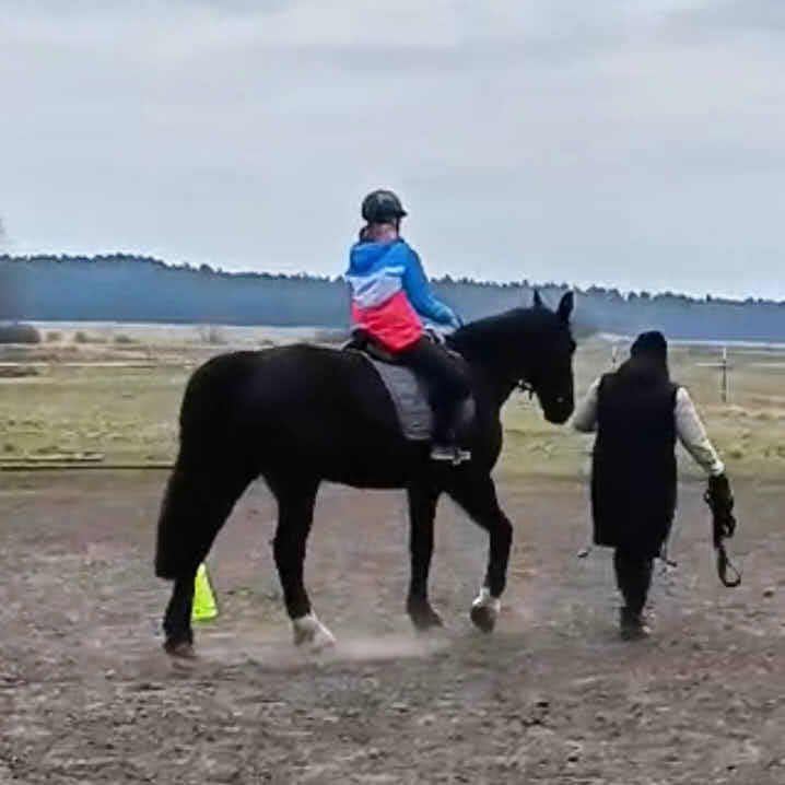 Alexandra Sünder führt ein Pferd, auf dem ein Kind sitzt. Alexandra Sünder führt ein Pferd, auf dem ein Kind sitzt.